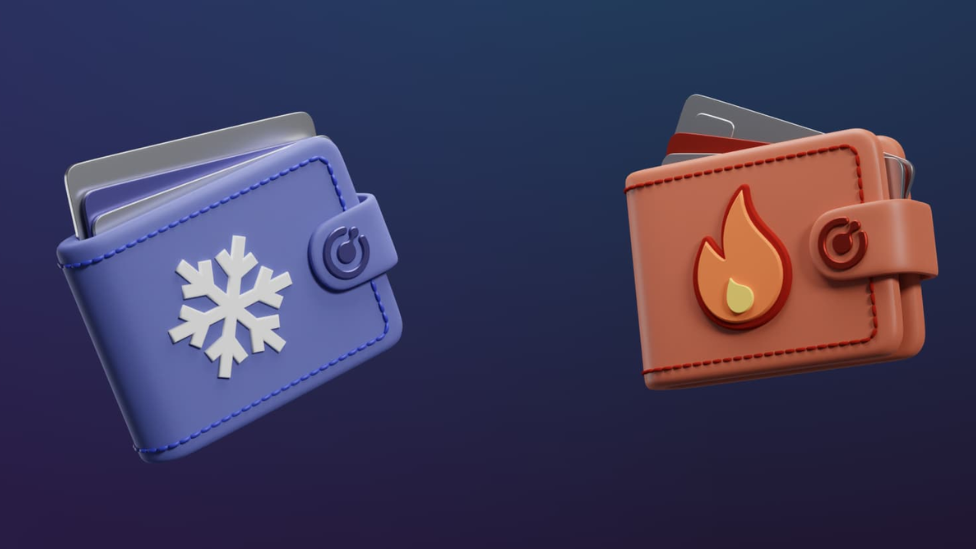 _Cold vs. Hot Wallets