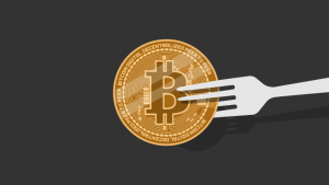 fork crypto