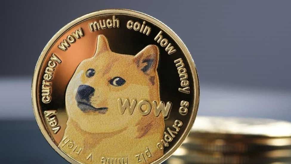 Shiba Inu