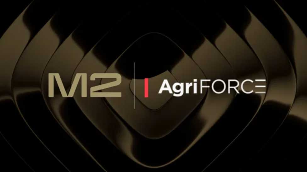 M2 Capital Invests